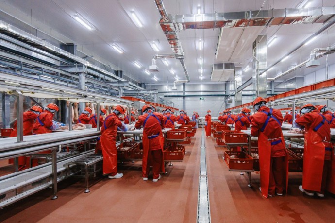 В ЦФО открылся еще один завод по производству мясных полуфабрикатов