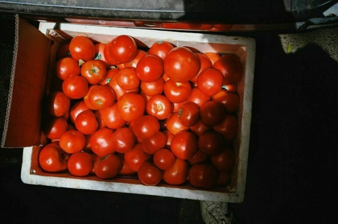 Помидоры в России подорожали на 10% Помидоры в России подорожали на 10%