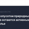 Около полусотни природных пожаров остаются активными в Забайкалье