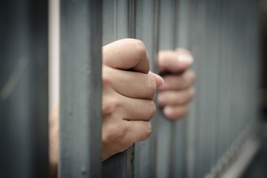 Фермеры загнали лесников в клетку из-за тигров и леопардов