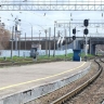 Как правильно перевозить животных в электричках, рассказала эксперт