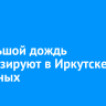 Небольшой дождь прогнозируют в Иркутске на выходных