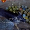 Лохматое чудо запретило костромичам вытаскивать подружку из погреба с заготовками