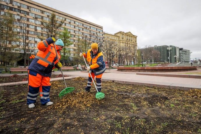 Столичные цветники начали готовить к весенне-летнему сезону