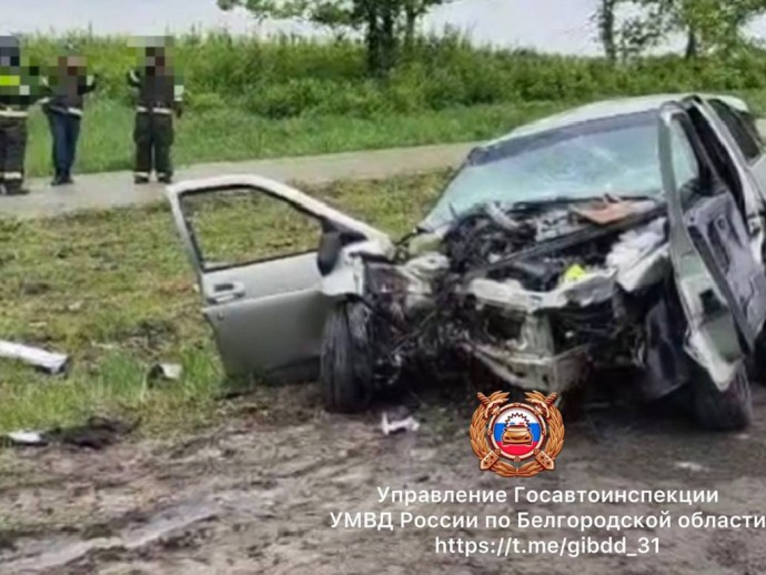 В Яковлевском округе при столкновении легковушки с ЛЭП погибла девушка