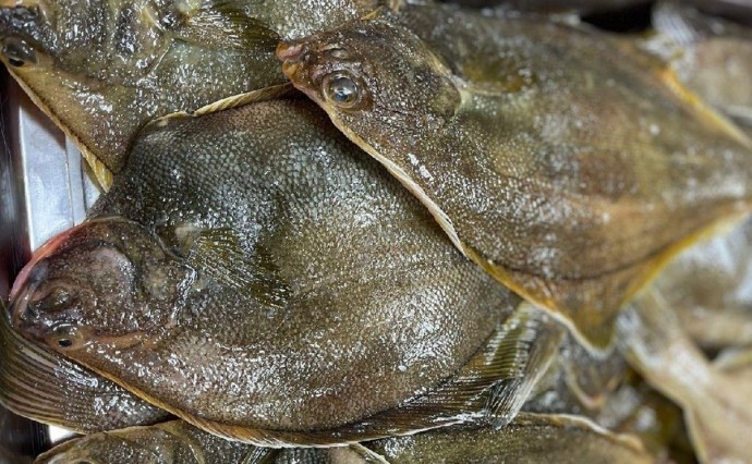 Более 1900 тонн доступной рыбы продали сахалинцам в 2025 году