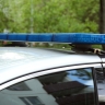 Парень бесследно исчез в лесу во время сбора кедровых шишек в российском регионе