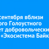17-21 сентября вблизи Большого Голоустного пройдет добровольческий форум «Экосистема Байкала»