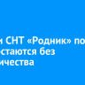 Жители СНТ «Родник» почти сутки остаются без электричества