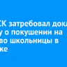 Глава СК затребовал доклад по делу о покушении на убийство школьницы в Иркутске