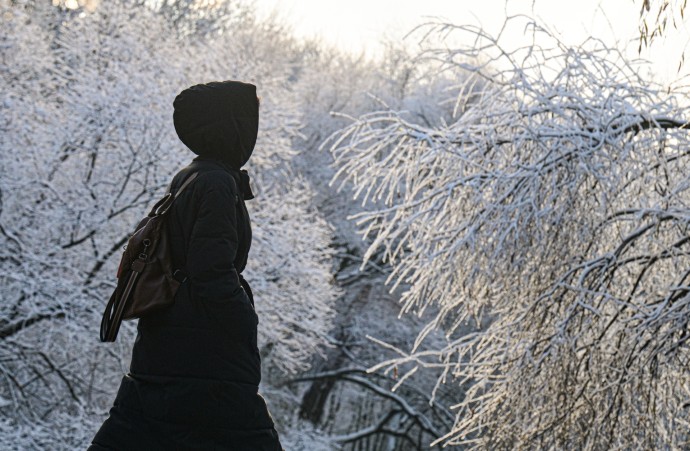 Синоптик Вильфанд: Москвичей ждут морозы до минус 9 градусов и снегопад