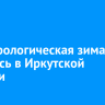 Метеорологическая зима началась в Иркутской области