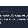 Москва и Каир обсуждают создание производства подсолнечного масла в Египте