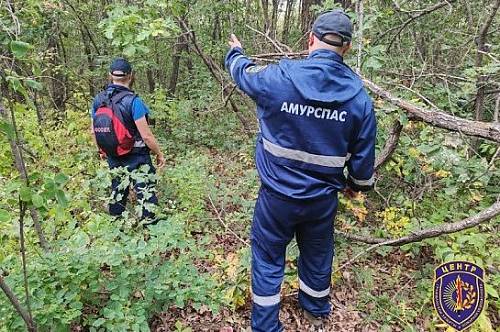 «Рекорд» по потерявшимся грибникам установлен в Приамурье