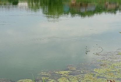 В Пензенской области из реки Хопер достали труп мужчины