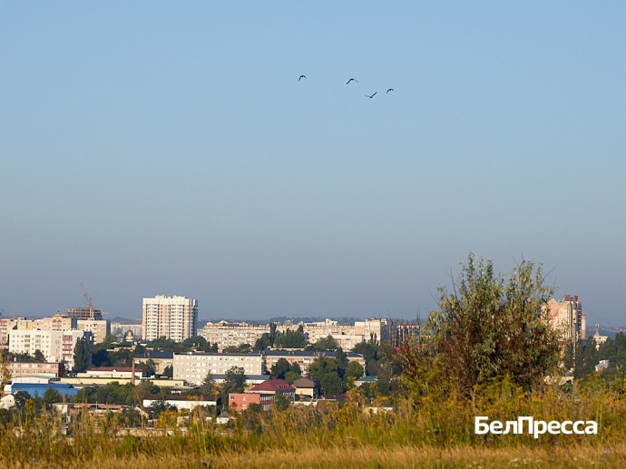 В Белгородской области начнут открывать точки с бесплатным Wi-Fi В Белгородской области начнут открывать точки с бесплатным Wi-Fi