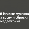 В Новой Игирме мужчина залез на сосну и сбросил оттуда медвежонка