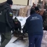 В Салавате спасатели поймали в городе дикого кабана