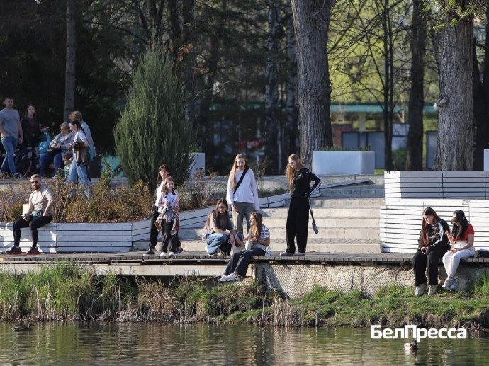 Белгородский губернатор: «Летом для обучения населения будут работать полевые центры»
