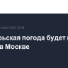 Сентябрьская погода будет на этой неделе в Москве
