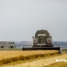 Белгородский губернатор рассказал, как контролируют пожарную безопасность во время жатвы
