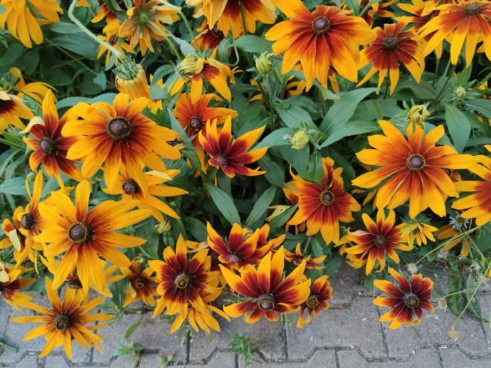 В Башкирии потеплеет до +17 градусов В Башкирии потеплеет до +17 градусов