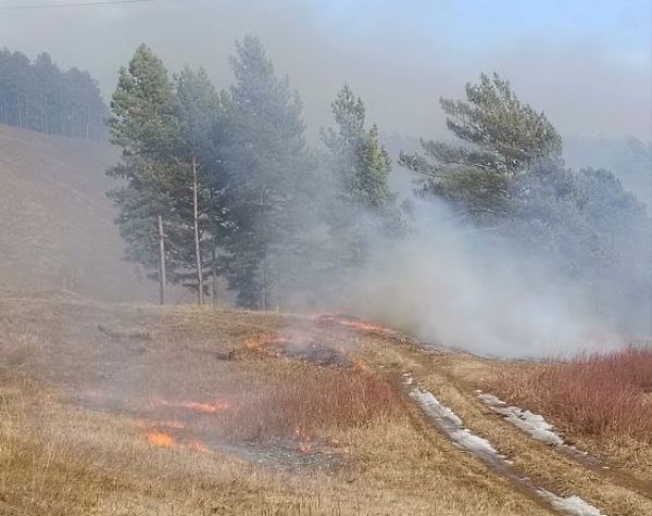 В нацпарке в Бурятии выжигают сухую траву