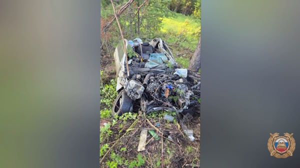 В Иркутской области в ДТП погиб водитель