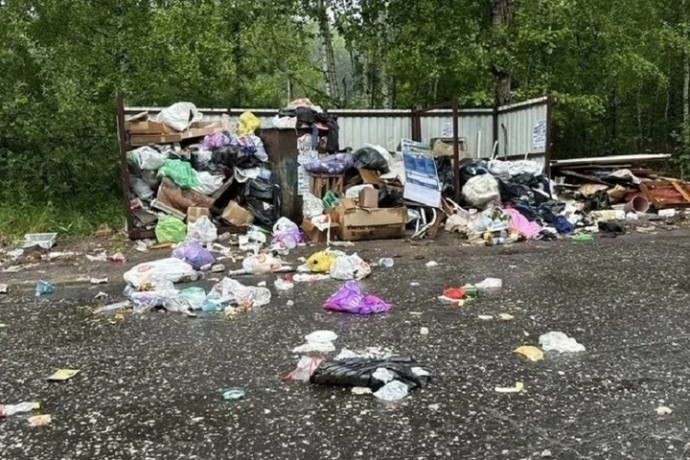 В Гороховецком районе прокуратуру подключили к ситуации с несвоевременным вывозом мусора В Гороховецком районе прокуратуру подключили к ситуации с несвоевременным вывозом мусора