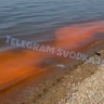 «Все покрыто жижей»: вода рыжего цвета на пляжах испугала жителей Владивостока