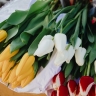 В Пензе мужчины в костюмах раздавали тюльпаны на 8 Марта