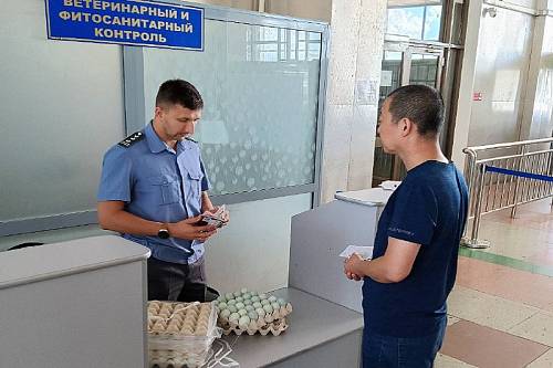 Мужчине не дали ввезти в Приамурье из Китая 90 яиц мятного цвета