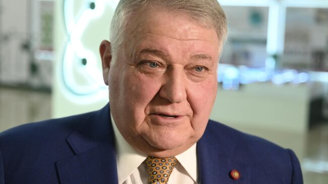 Глава "Курчатовского института" прокомментировал удары США по Ирану