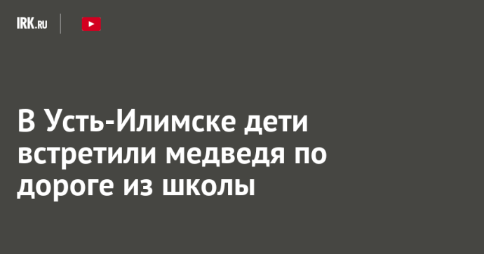 В Усть-Илимске дети встретили медведя по дороге из школы В Усть-Илимске дети встретили медведя по дороге из школы