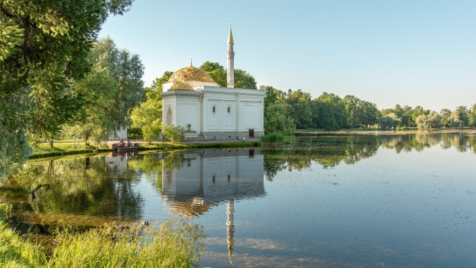 Очисткой Большого пруда Екатерининского парка займётся белый амур: тонну рыбы выпустили в водоём Очисткой Большого пруда Екатерининского парка займётся белый амур: тонну рыбы выпустили в водоём