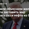 В Кремле объяснили желание Трампа заставить мир покупать газ и нефть из США