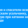 Полиция и спасатели всю ночь искали усольчанку, уснувшую при катании на сапборде