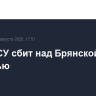 Дрон ВСУ сбит над Брянской областью