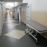 Мальчика из Сочи стали выводить из искусственной комы после недавнего нападения собак
