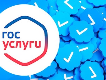 Приём заявлений на участие в ДЭГ начался на портале госуслуг