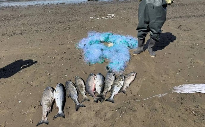 72 кг красной икры и 1 авто изъяли у сахалинских браконьеров за неделю - СКТУ ФАР