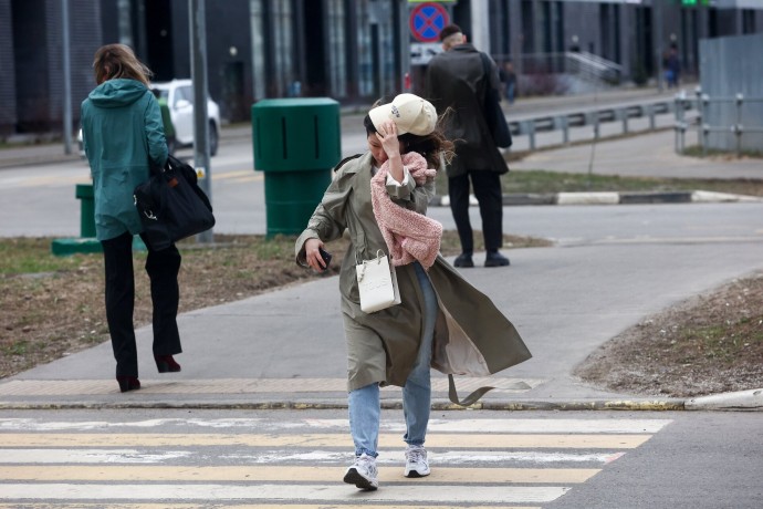 Жителей Москвы попросили быть внимательными во время сильного ветра 14 ноября