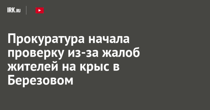 Прокуратура начала проверку из-за жалоб жителей на крыс в Березовом Прокуратура начала проверку из-за жалоб жителей на крыс в Березовом