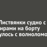 Возле Листвянки судно с пассажирами на борту столкнулось с волноломом