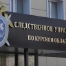 Курский СК проверит информацию о танцах подростков на мемориале