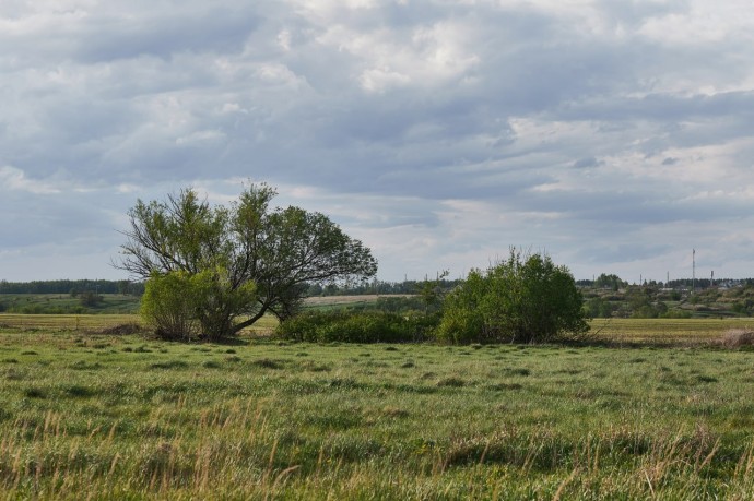 Пензенский агрохолдинг заплатит штраф за неиспользуемые сельхозземли