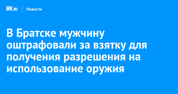 В Братске мужчину оштрафовали за взятку для получения разрешения на использование оружия