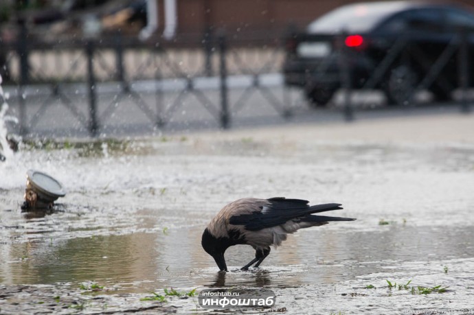 Снова дождь: что обещают метеорологи астраханцам 22 октября Снова дождь: что обещают метеорологи астраханцам 22 октября