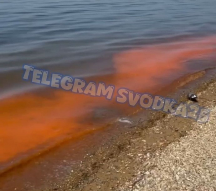 «Все покрыто жижей»: вода рыжего цвета на пляжах испугала жителей Владивостока