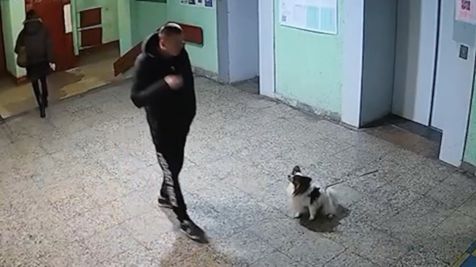 «Перепил и плохо соображал»: суд назначил наказание петербуржцу, кинувшему соседскую собаку в стену «Перепил и плохо соображал»: суд назначил наказание петербуржцу, кинувшему соседскую собаку в стену